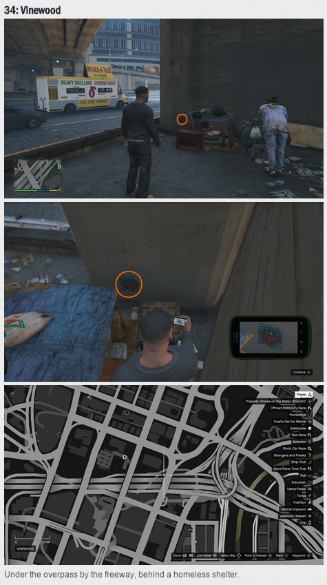 Base GTA V - FiveM - Monkey by Java